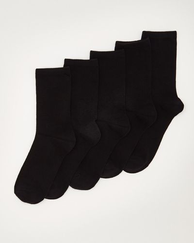 Premium Socks - Pack Of 5